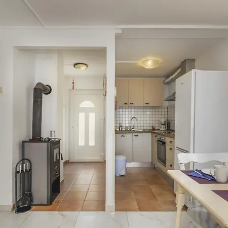 On Island Molat Next To The Sea - By Ta Leut Agency Brgulje